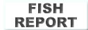 Fish Report